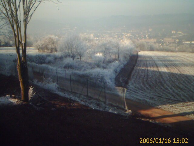 Blick über Trier im Winter