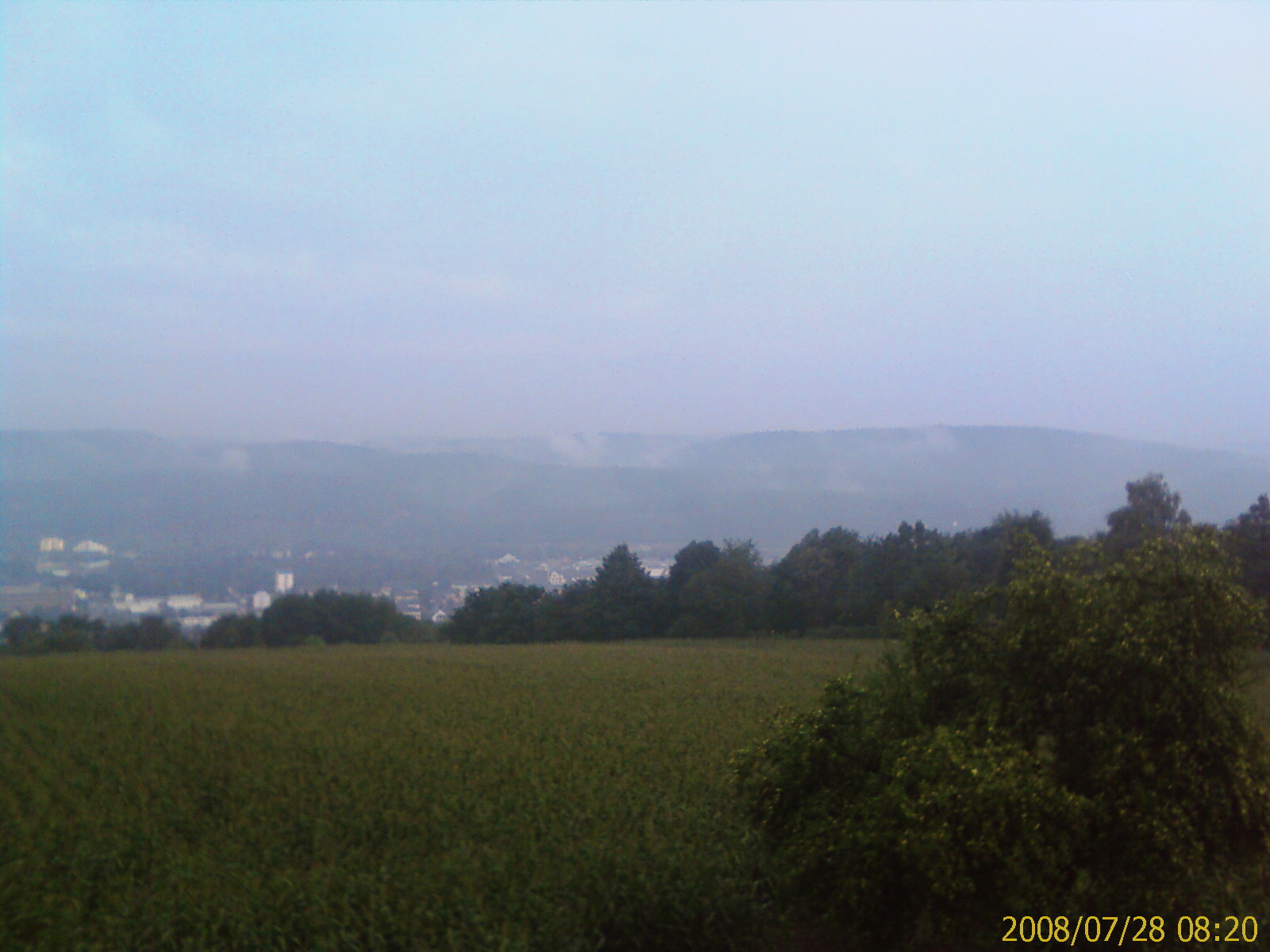 Sommermorgen 2008